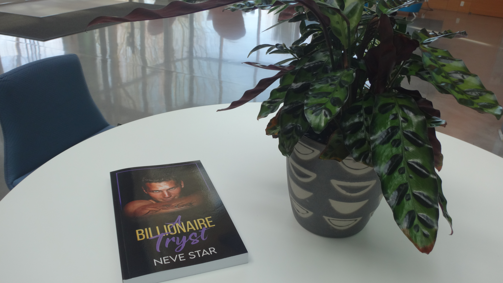 A BILLIONAIRE TRYST (PAPERBACK FORMAT)